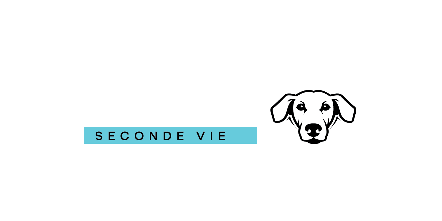 Fondation Bianchi – Seconde Vie